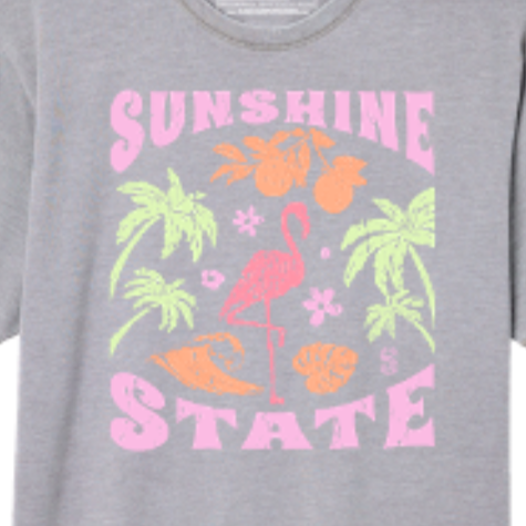ALL THINGS FLORIDA YOUTH SHORT SLEEVE TEE - LIGHT GREY - Sunshine State® Goods