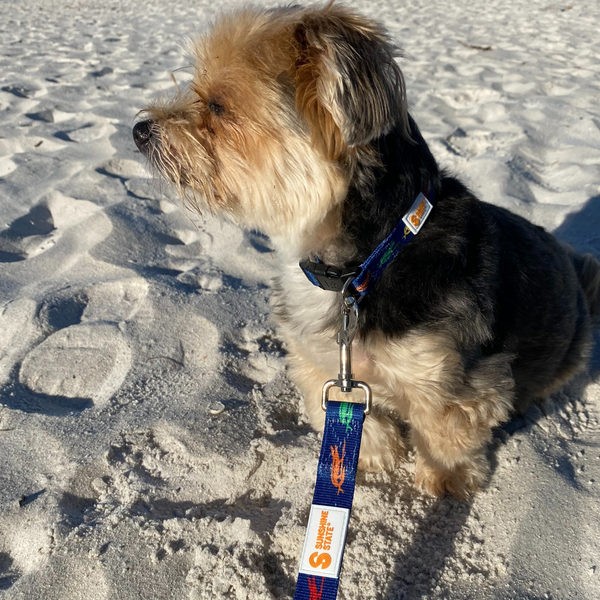 SURF GATOR PET LEASH - Sunshine State®