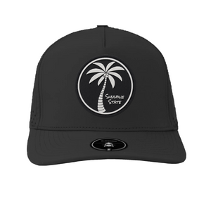 Black on Black Coastal Palm