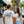 Florida Dairy T-Shirt | Vintage Florida