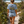 Seagull Road Trip Crop T-Shirt | Florida Graphic Tee