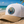 Sunshine State Manatee 2.0 Hat: Design It!