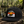 Surfing Gator Sunset Hat: Design It!