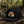 Surfing Gator Sunset Hat: Design It!