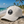 Sunshine State Coastal Palm Hat: Design It!