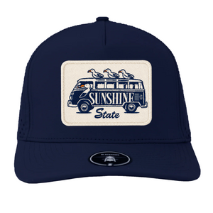Dark Blue Seagull