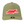 Loden Surfing Gator