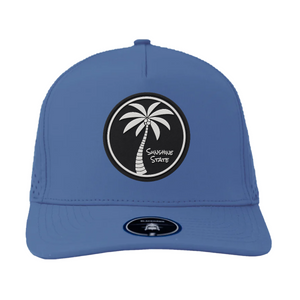 Ocean Blue Coastal Palm