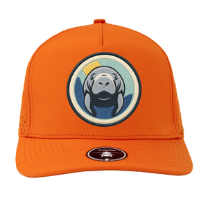Orange Manatee 2.0