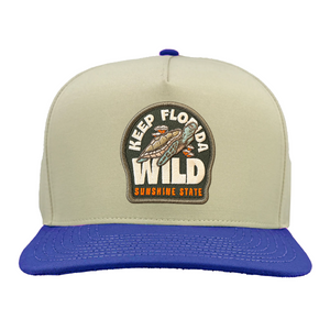 Vintage White/Royal Blue Turtle Time