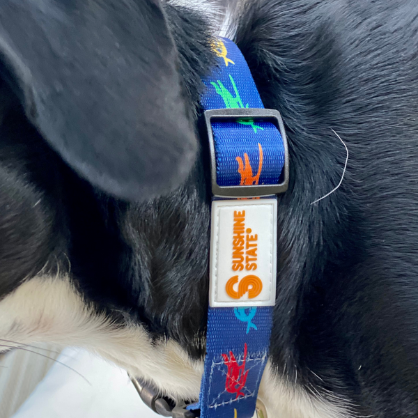 SURF GATOR PET COLLAR - Sunshine State®